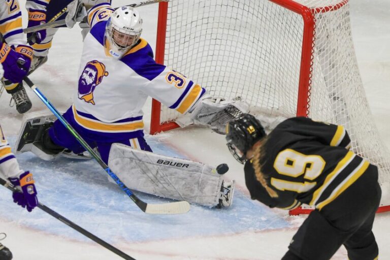 Ice Hockey Talk: Ein Einblick in die Welt des Eishockeys ice hockey talk