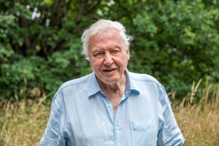 David Attenboroughs Alter, Familie und riesiges Vermögen bei der Veröffentlichung von zwei neuen BBC-Dokumentarfilmen david attenborough