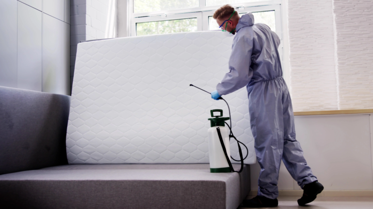 bettwanzenbekämpfun